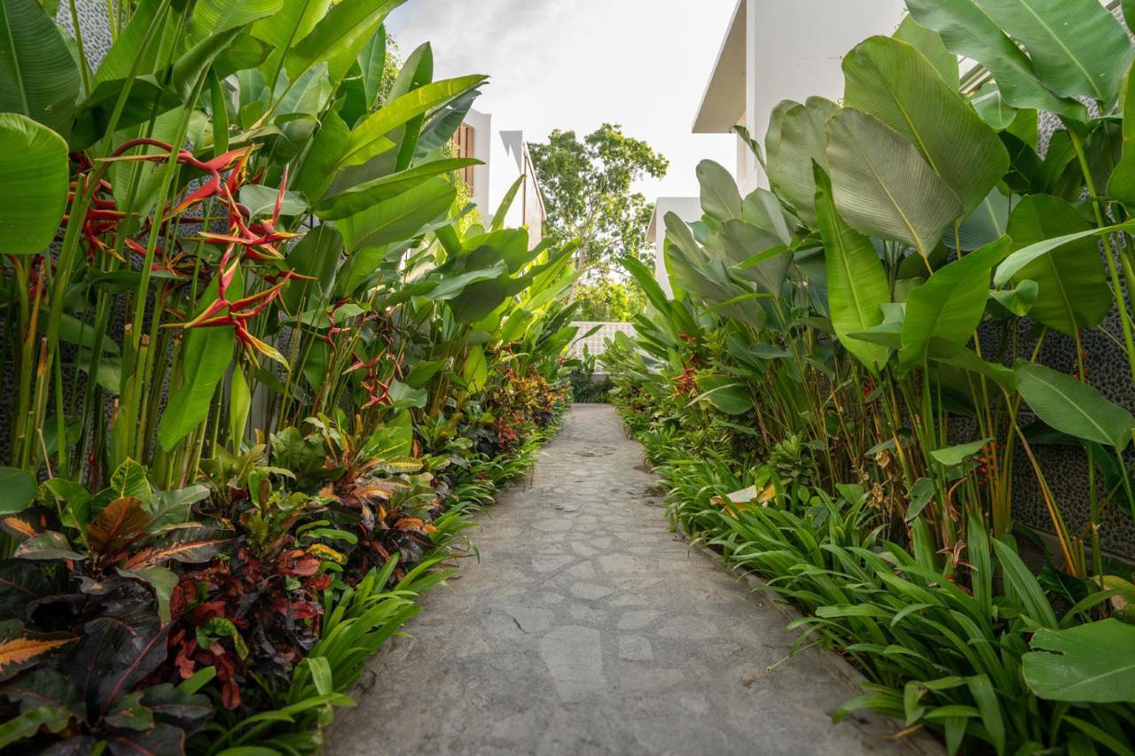 Ola Villas At Uluwatu Pecatu Exteriör bild